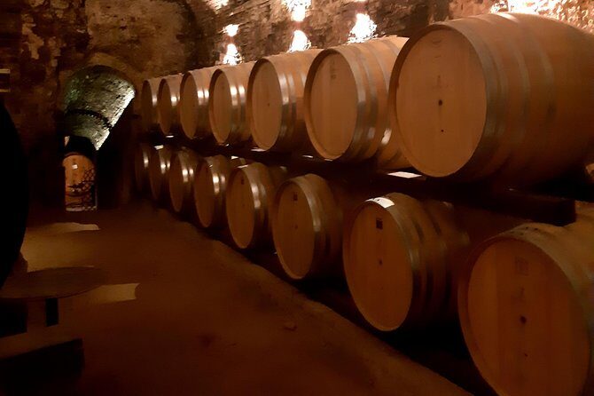 PRIVATE TOUR: Savor Exquisite Wines: Brunello & Nobile Wine Tour - The drive between towns: cypress rows and movie-famous Tuscan roads