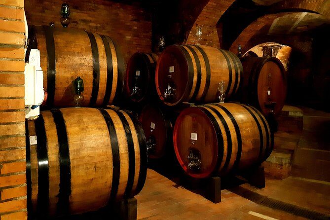 PRIVATE TOUR: Savor Exquisite Wines: Brunello & Nobile Wine Tour - Transportation and pacing: what 9 hours feels like in practice