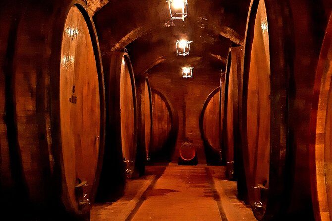PRIVATE TOUR: Savor Exquisite Wines: Brunello & Nobile Wine Tour - Price and value: what you’re really paying for