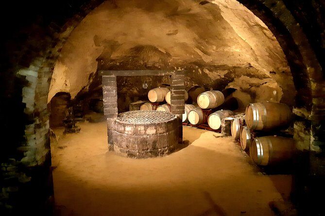 PRIVATE TOUR: Savor Exquisite Wines: Brunello & Nobile Wine Tour - Who this tour suits best (and who might not love it)