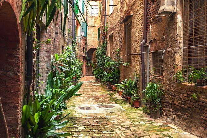 Private Tour: Secret Siena Walking Tour - Price, pace, and what to bring for a 3-hour hill walk