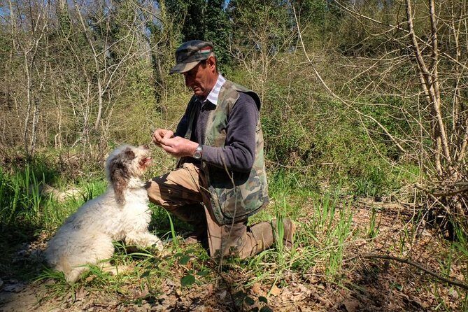 Private Truffle Hunting in Chianti - Private truffle hunting in Chianti: why this feels hands-on