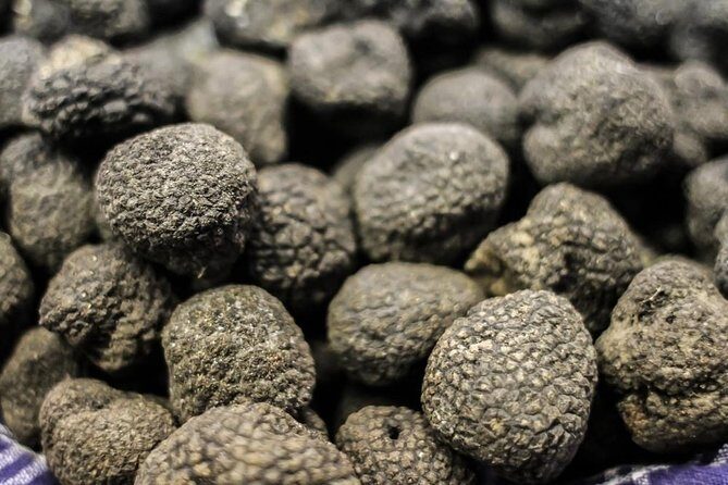 Private Truffle Hunting in Chianti - Castellina in Chianti: truffle lunch and wine tasting that actually count