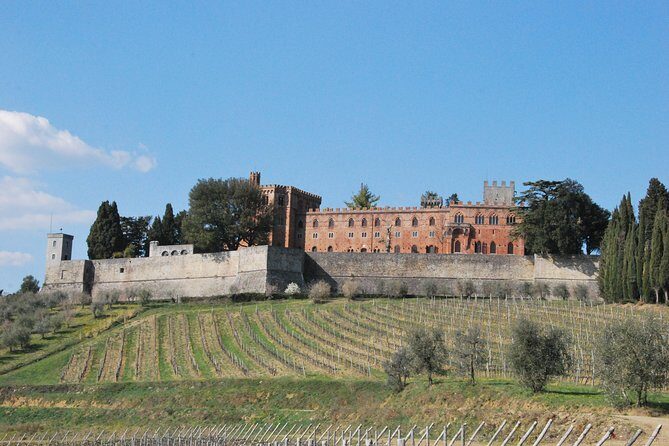 San Gimignano and Chianti Classico Wine and Food PRIVATE TOUR from SIENA - Food along the way: plan for lunch costs