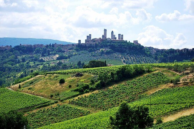 San Gimignano and Chianti Classico Wine and Food PRIVATE TOUR from SIENA - Timing, comfort, and packing for an 8-hour day