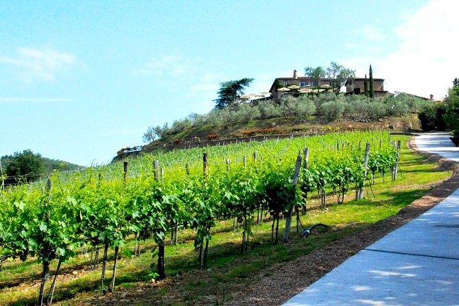 San Gimignano and Chianti Classico Wine and Food PRIVATE TOUR from SIENA - Who this private tour is perfect for