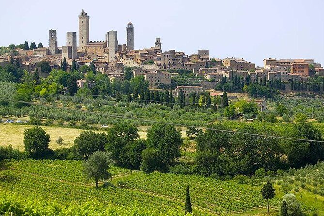 San Gimignano, Chianti, and Montalcino Day Trip from Siena - Chianti countryside and the winery lunch: where the day becomes food-and-wine real