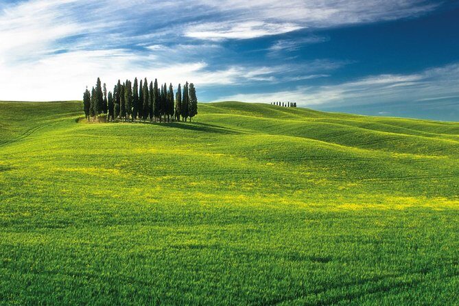 San Gimignano, Chianti, and Montalcino Day Trip from Siena - Stop: Montalcino Fortress and the Brunello experience