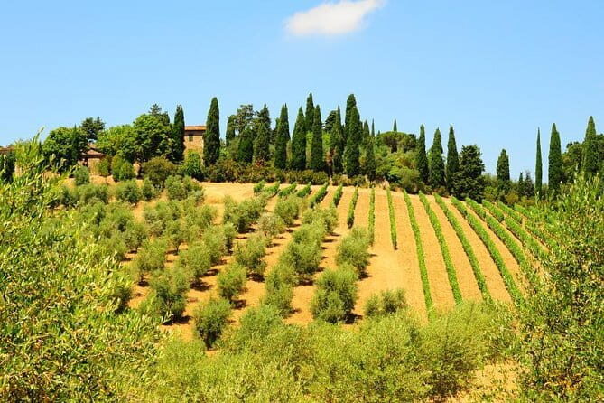 San Gimignano, Siena, Monteriggioni: Fully Escorted Tour, Lunch & Wine Tasting - Price and What You Get for Around $95.58