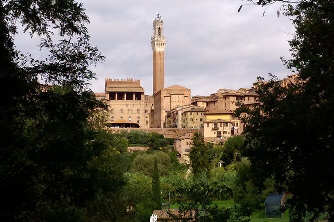 Secret Siena Walking Tour - A smart way to do Siena: street level, not crowd level