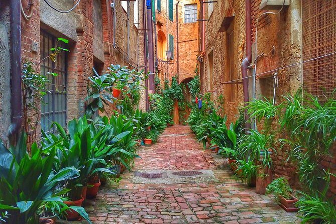 Secret Siena Walking Tour - Who this tour is best for