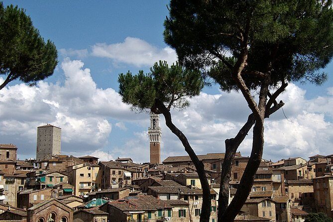 Secret Siena Walking Tour - Meeting at Piazza San Domenico and ending at Il Campo