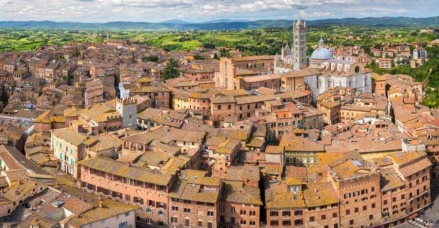 Siena: 3h Private City Walking Tour with Optional Cathedral - Where the tour starts: San Domenico and the big-tree meeting point