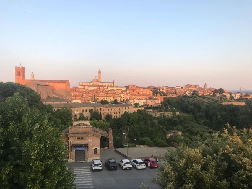 Siena: 3h Private City Walking Tour with Optional Cathedral - Saint Catherine stops: Basilica San Domenico and the relic moment
