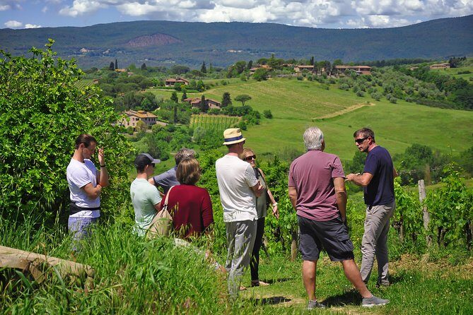 Siena: A Wine Tour and Tasting Experience - What You’re Getting for the Price (and Why It Feels Fair)