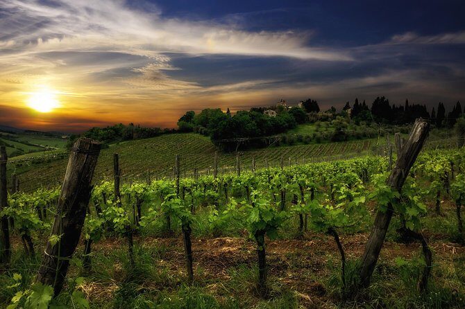 Siena: A Wine Tour and Tasting Experience - Logistics That Matter: Timing, Language, and Getting There