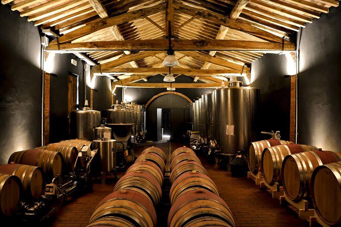 Siena: A Wine Tour and Tasting Experience - Stop 2 in the Cellar: From Crushing to Bottling (and Why It Matters)