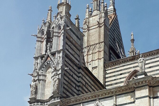 Siena Cathedral: shrine of treasures. - Meeting at Piazza del Duomo: keep logistics simple