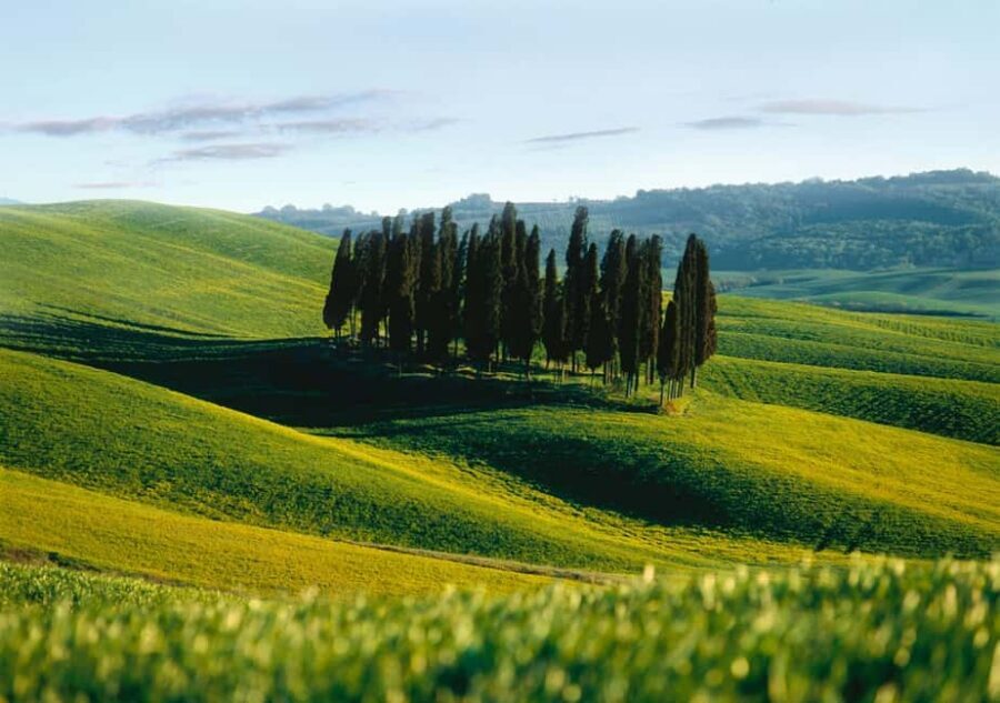 Siena: City Tour in German - Key things I’d focus on before you go