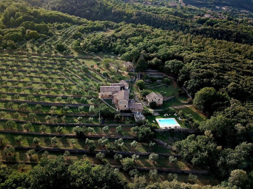 Siena countryside: cooking class in a real Tuscan farmhouse - The 3-course meal: eat what you made, in the countryside