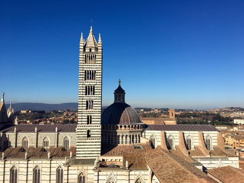 Siena: Duomo di Siena Private Guided Tour - The marble mosaic floor: beauty you’ll understand after the guide points it out
