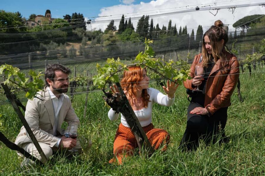 Siena: Educational Wine Tour & Tasting - Key things to know before you go