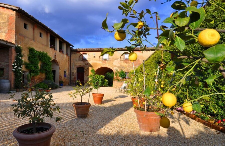 Siena: Educational Wine Tour & Tasting - Light lunch pairing: local food, dietary care, and the wine-to-table link