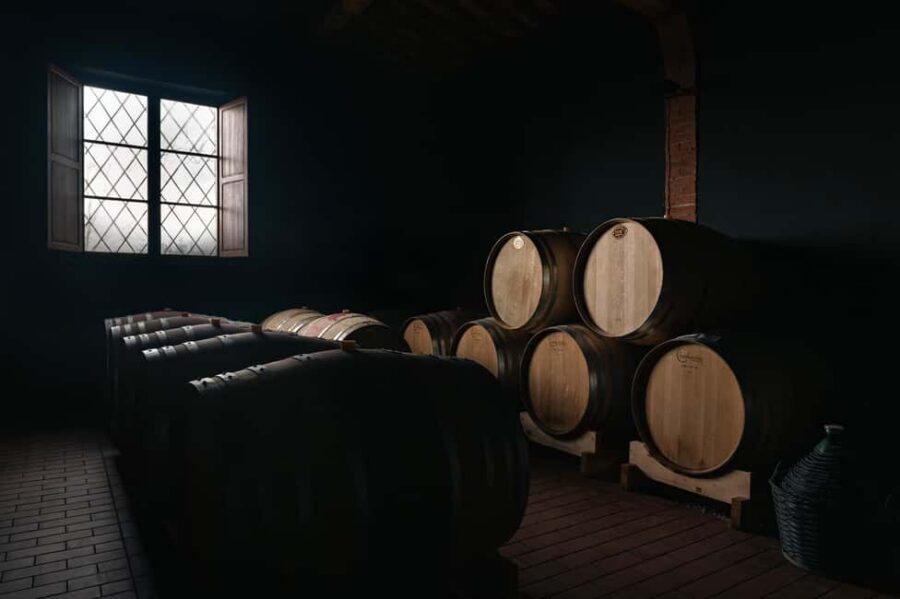 Siena: Educational Wine Tour & Tasting - Who should book this tour (and who might not love it)