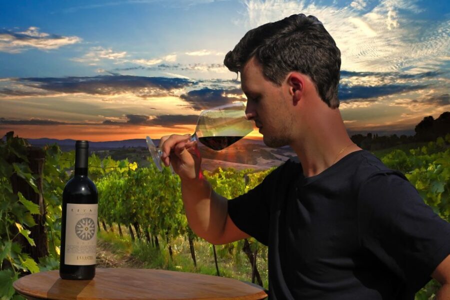 Siena: Educational Wine Tour & Tasting - Vineyard walk: the agronomic and phenolic cycle made understandable