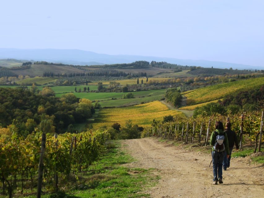 Siena: Half-day Guided Hike to Monteriggioni - Key Highlights You’ll Feel on This Tour