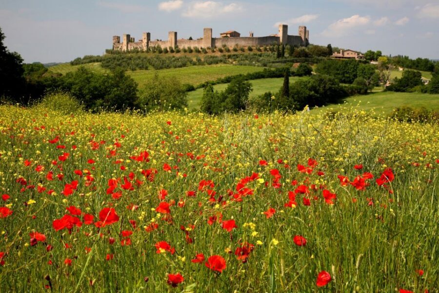 Siena: Half-day Guided Hike to Monteriggioni - Monteriggioni’s Fortress Walls: The Payoff at the End