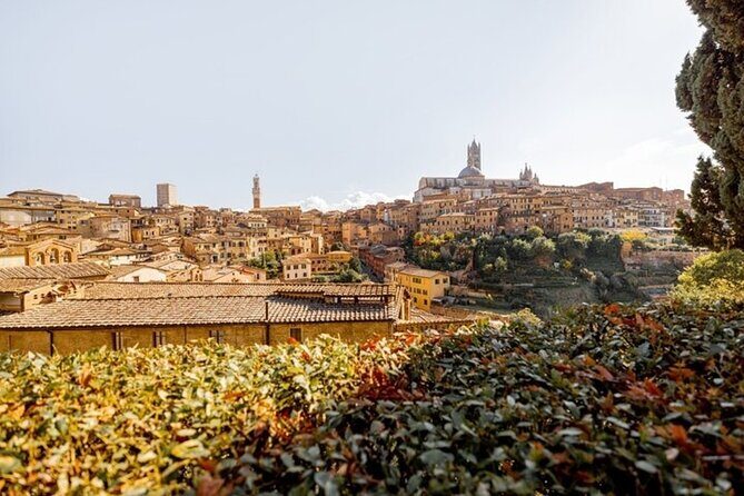 Siena Highlights Private Walking Tour With A Guide (Private Tour) - Piazza del Campo: The Square That Explains Siena’s Attitude