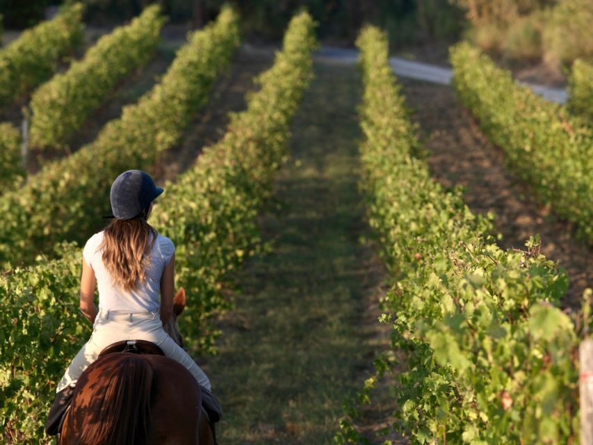 Siena: Horseback Adventure in the Tuscan Countryside - Key highlights before you ride