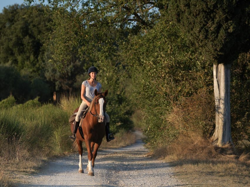 Siena: Horseback Adventure in the Tuscan Countryside - Price and Value: Is $79.30 Worth It?