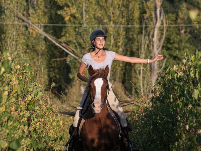 Siena: Horseback Adventure in the Tuscan Countryside - Mount Up: What This Siena Horseback Ride Feels Like