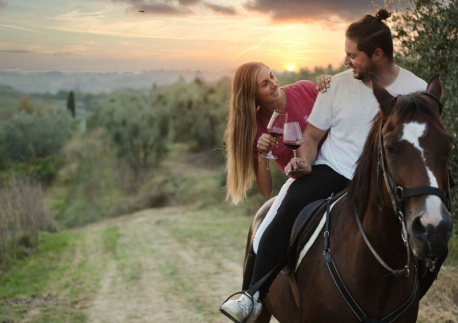 Siena: Horseback Adventure in the Tuscan Countryside - Horses and Safety: Calm Mounts, Real Instruction