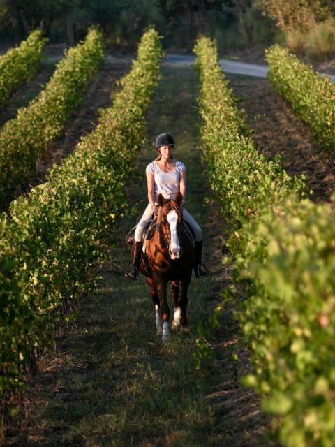 Siena: Horseback Adventure in the Tuscan Countryside - Food, Wine, and the Tuscan Farm Feeling (What’s Included vs. Optional)
