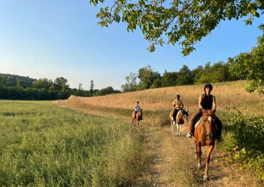 Siena: Horseback Adventure in the Tuscan Countryside - What to Wear and Bring (So You’re Comfortable From Corral to Finish)