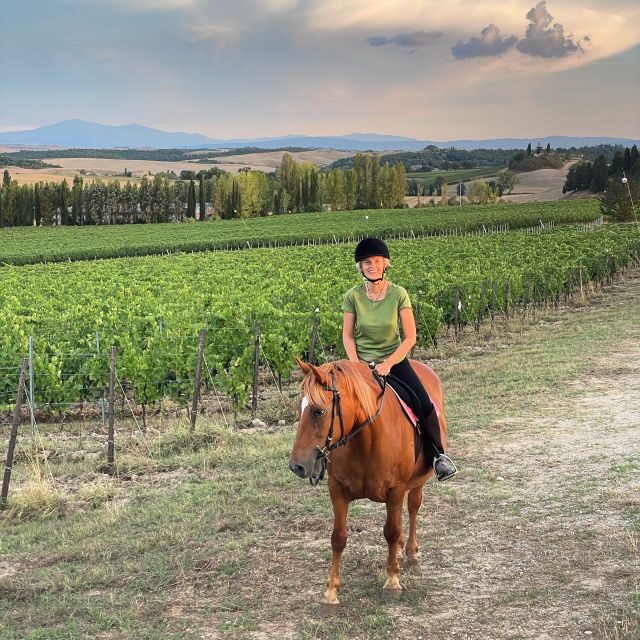 Siena: Horseback Adventure in the Tuscan Countryside - The Route: Vineyards, Olive Groves, and Quiet Hills Near Siena