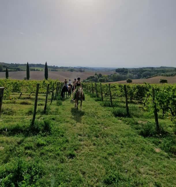 Siena: Horseback Riding Tour in the Tuscany Countryside - What You Ride Through: Vineyards, Rivers, Olive Groves, and Cypress Roads