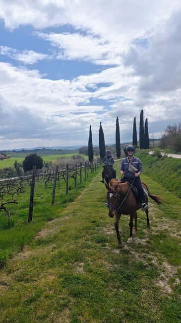 Siena: Horseback Riding Tour in the Tuscany Countryside - Small-Group Feel at Colle Pinzuto Horseriding