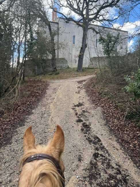 Siena: Horseback Tour on the Via Francigena - Before you mount: helmets, first steps, and horse time