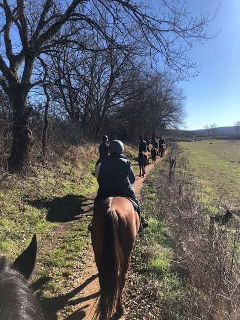 Siena: Horseback Tour on the Via Francigena - The ride along the Via Francigena: woods, hills, and golden fields
