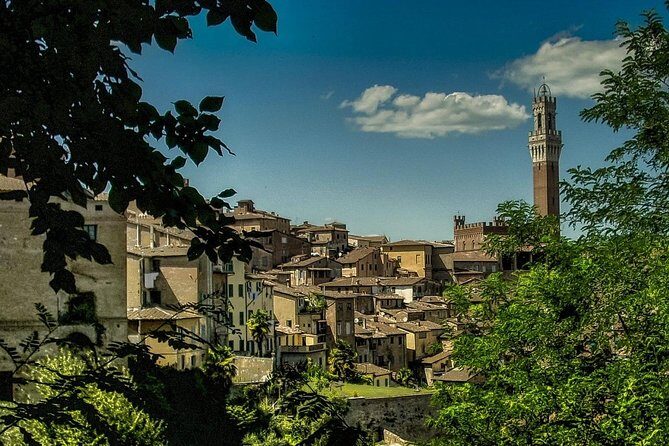 Siena Magica Private Walking Tour - Duomo di Siena: Santa Maria Assunta and the cathedral centerpiece