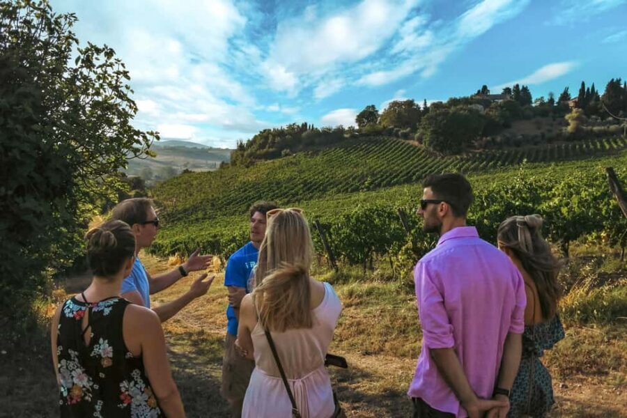 Siena: Organic Winery Tour and Wine Tasting - Getting there from Siena: taxi life beats foot traffic