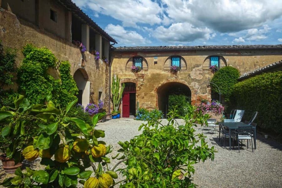 Siena: Organic Winery Tour and Wine Tasting - Inside the cellar: from grape crushing to oak decisions