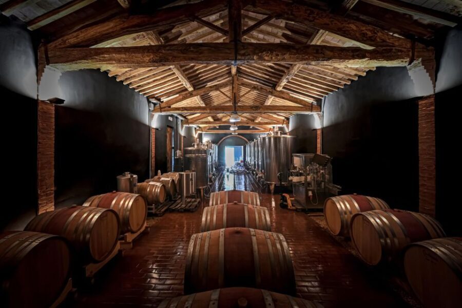 Siena: Organic Winery Tour and Wine Tasting - The meal pairing: seasonal Tuscan food with garden vegetables