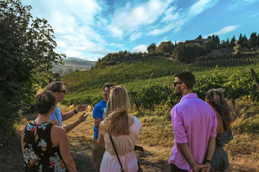 Siena: Organic Winery Tour and Wine Tasting - Practical moments: timing, rain, and getting back to Siena