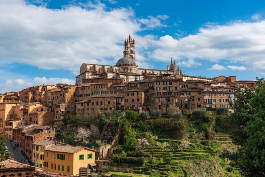 Siena: Private City Highlights Walking Tour - Torre Mangia: a 102-meter landmark with skyline impact
