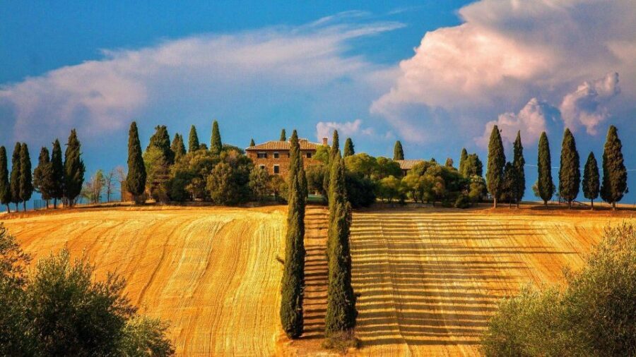 Siena: Private City Highlights Walking Tour - The narrow streets between the big sights